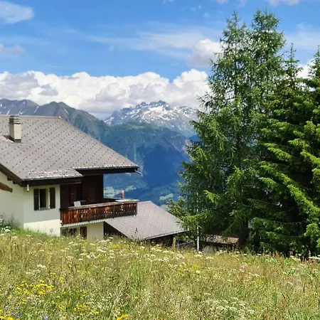 Apartment Zendorn *