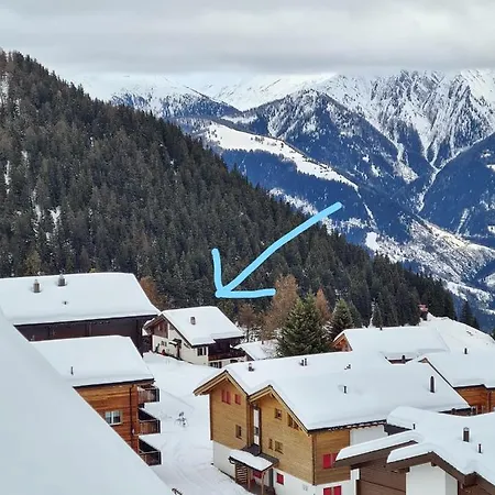 Zendorn Apartman *