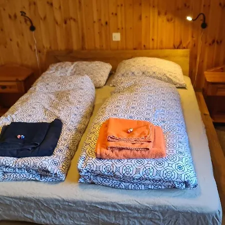 Zendorn بيتميرلاب