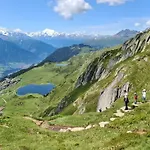Zendorn *